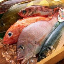 Manipulador de Alimentos-Pescados y Derivados