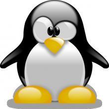 Curso Superior Linux-Nivel Avanzado